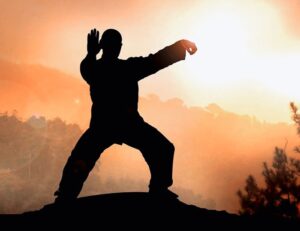 Tai Chi Chi Kung